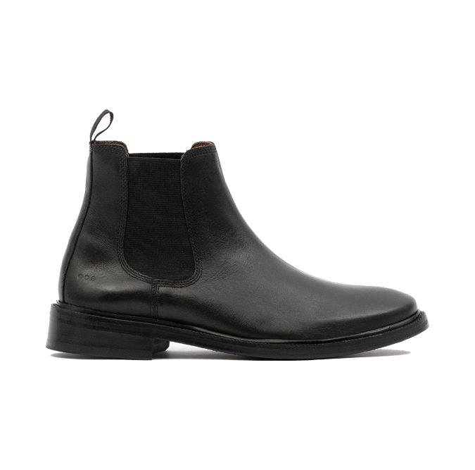 Bota