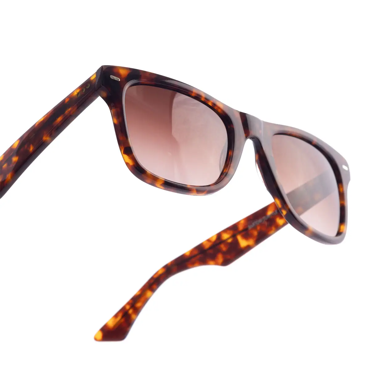 SARTORI TURTTLE | ÓCULOS