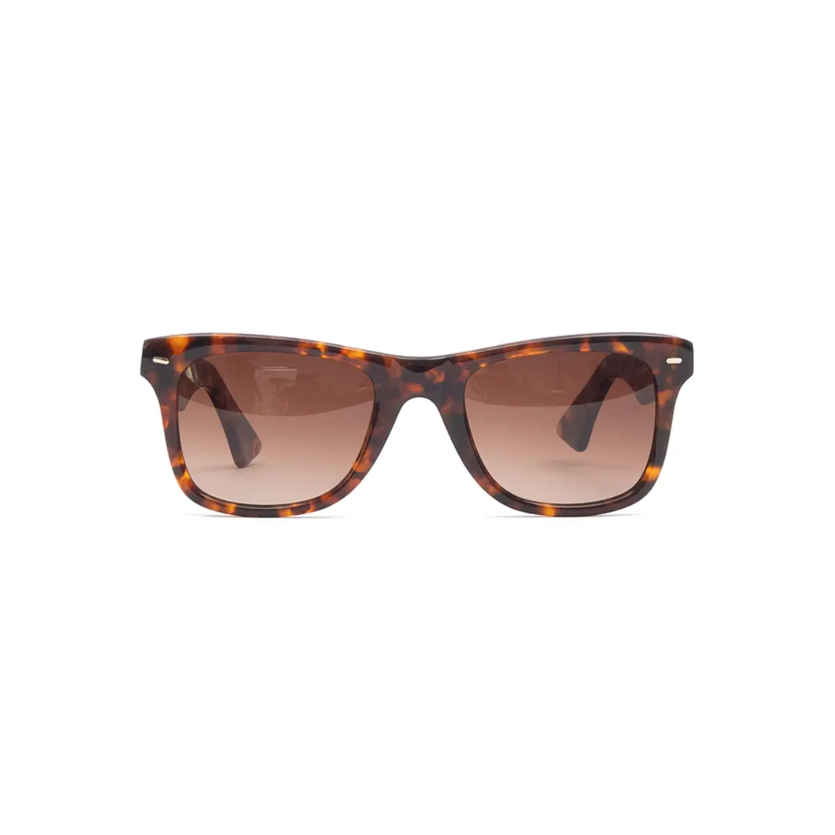 SARTORI TURTTLE | ÓCULOS