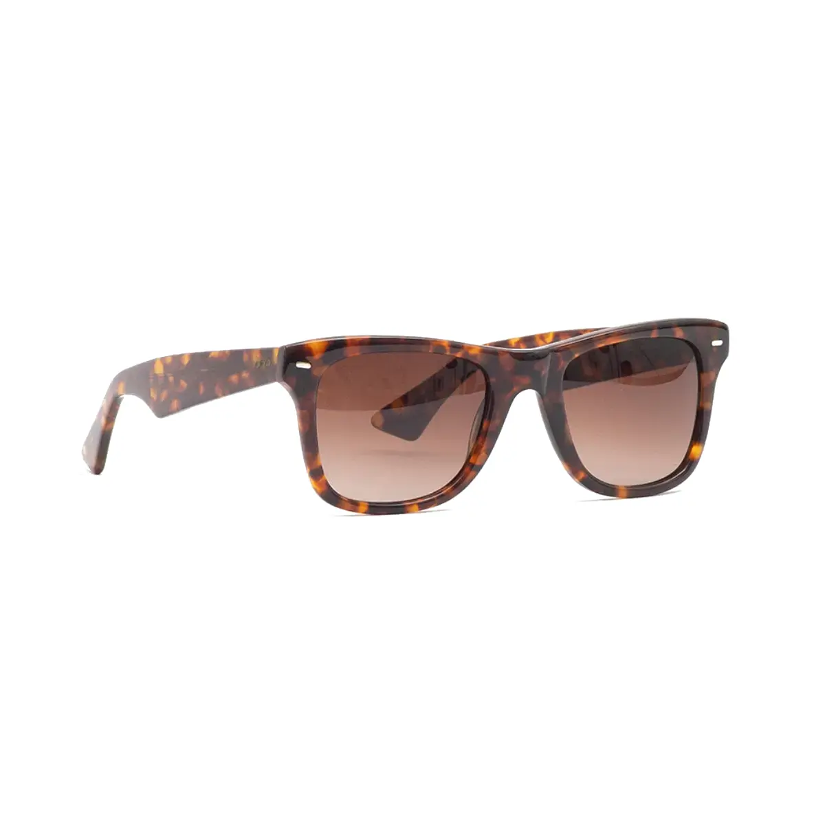 SARTORI TURTTLE | ÓCULOS