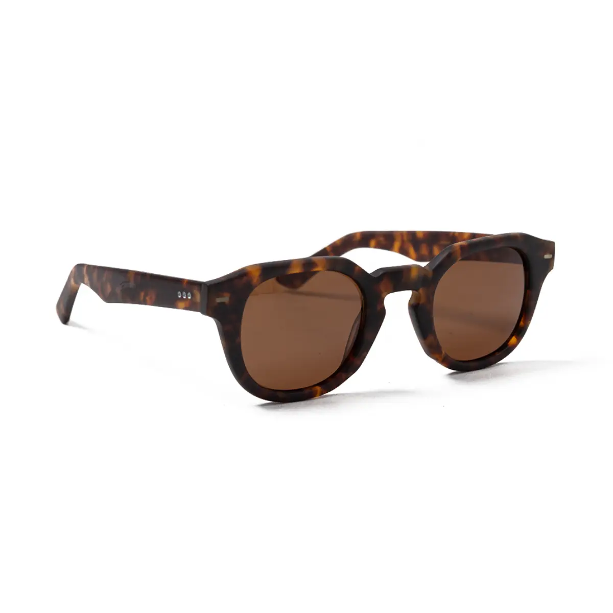 PACCO 003567 - PACCO TURTTLE FOSCO | ÓCULOS - ACTIVE TESTE